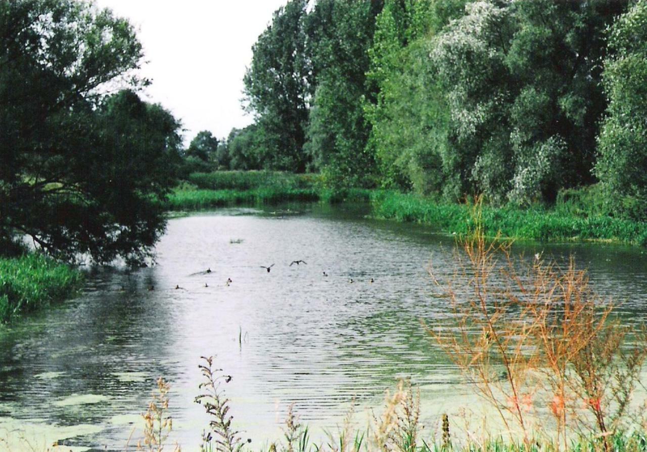 Friedland  Star Camp Cosa, Ferienwohnungen, Camping, Schlaffaesser מראה חיצוני תמונה